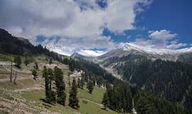 Jammu & Kashmir Valley Dream — Complete Travel Guide